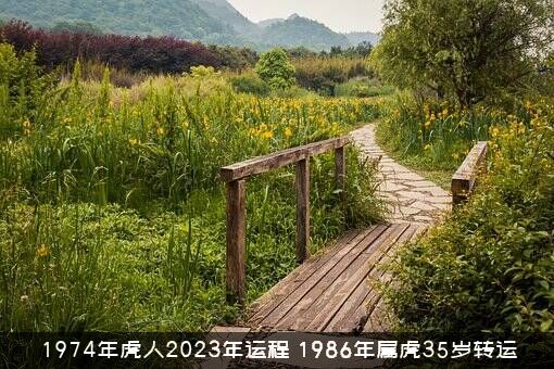 1974年虎人2023年运程（1986年属虎35岁转运）