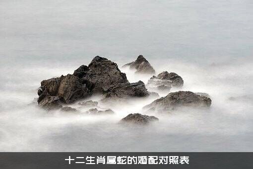 十二生肖属蛇的婚配对照表