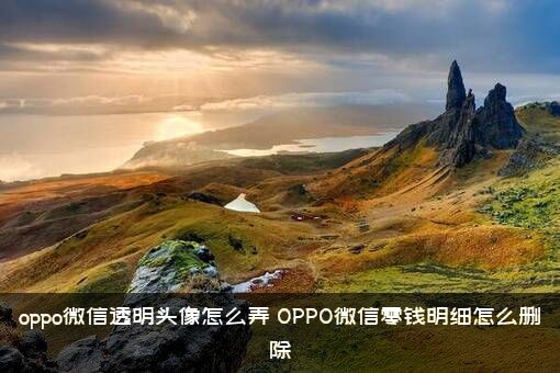 oppo微信透明头像怎么弄？OPPO微信零钱明细怎么删除？