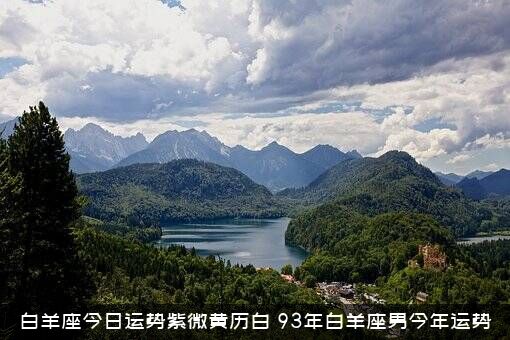 白羊座今日运势紫微黄历白，93年白羊座男今年运势
