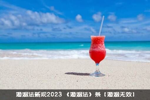 婚姻法新规2023（《婚姻法》条【婚姻无效】）