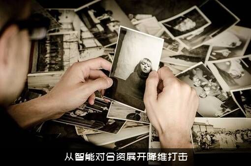 从智能对合资展开降维打击