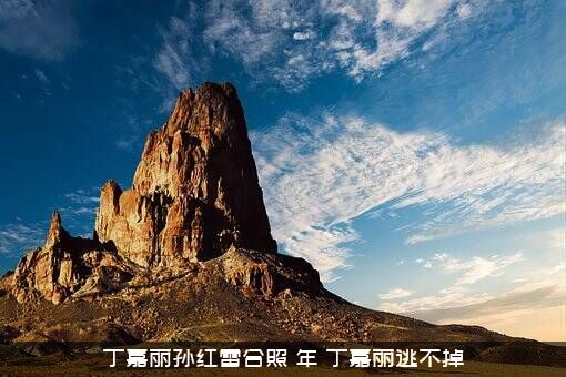 丁嘉丽孙红雷合照（年，丁嘉丽逃不掉）