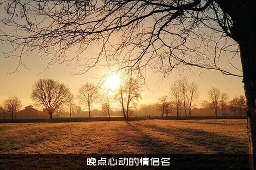 晚点心动的情侣名