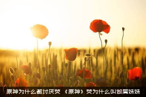 原神为什么都讨厌荧？《原神》荧为什么叫做屑妹妹？