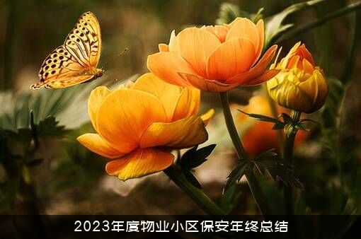 2023年度物业小区保安年终总结