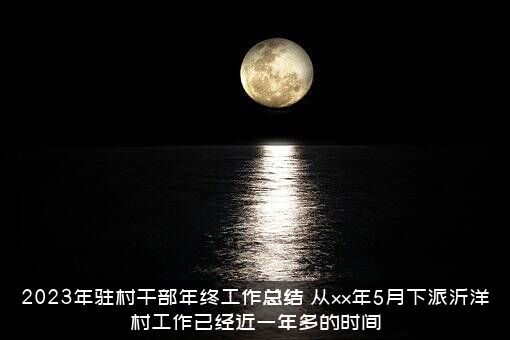 2023年驻村干部年终工作总结（从xx年5月下派沂洋村工作已经近一年多的时间）