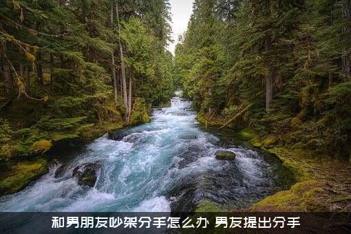 和男朋友吵架分手怎么办（男友提出分手）