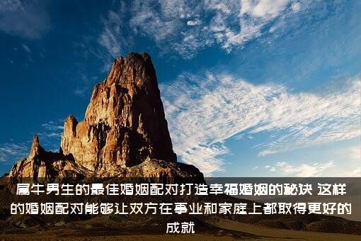 属牛男生的最佳婚姻配对打造幸福婚姻的秘诀，这样的婚姻配对能够让双方在事业和家庭上都取得更好的成就