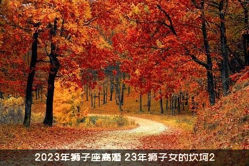 2023年狮子座离婚（23年狮子女的坎坷2）