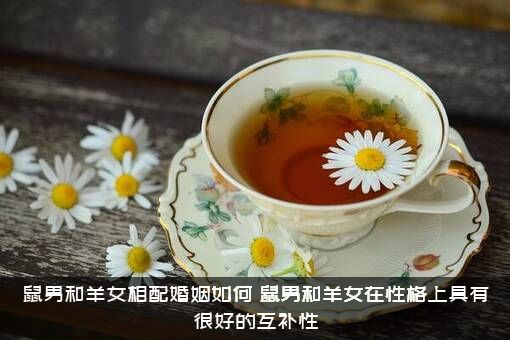 鼠男和羊女相配婚姻如何？鼠男和羊女在性格上具有很好的互补性