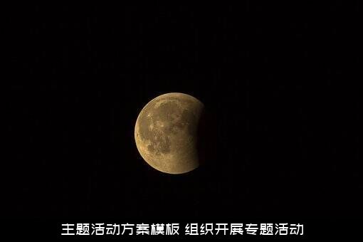 主题活动方案模板（组织开展专题活动）