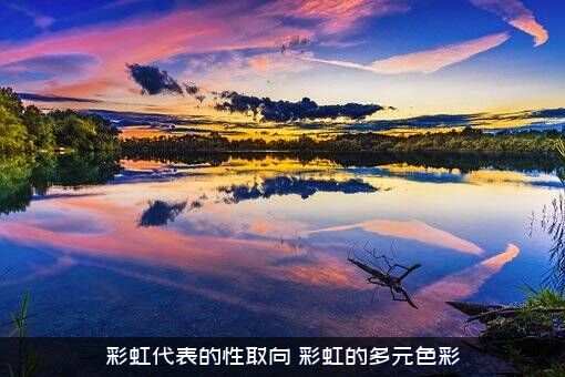彩虹代表的性取向（彩虹的多元色彩）