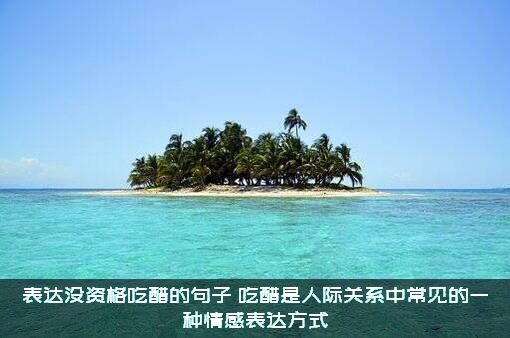 表达没资格吃醋的句子（吃醋是人际关系中常见的一种情感表达方式）