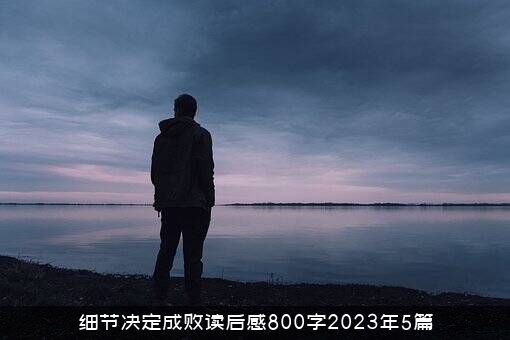 细节决定成败读后感800字2023年5篇