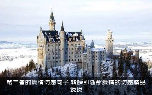 第三者的爱情伤感句子，转瞬即逝那爱情的伤感精品说说？