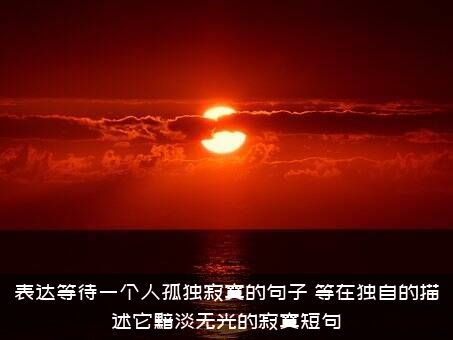 表达等待一个人孤独寂寞的句子，等在独自的描述它黯淡无光的寂寞短句()