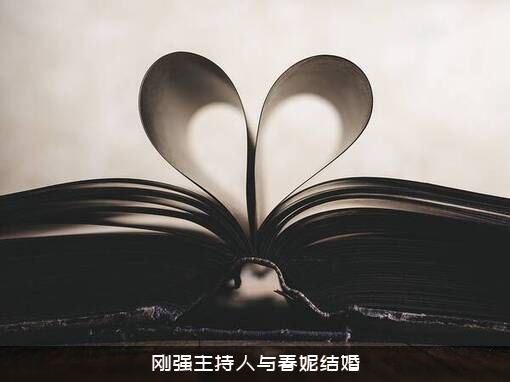 刚强主持人与春妮结婚