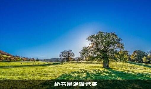 秘书是隐婚老婆