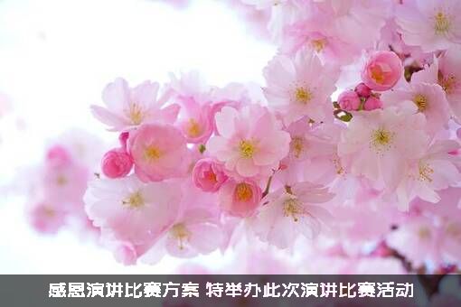 感恩演讲比赛方案（特举办此次演讲比赛活动）