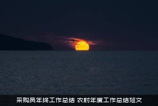 采购员年终工作总结（农村年度工作总结范文）