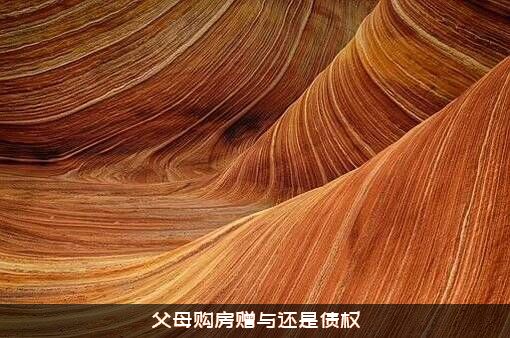 父母购房赠与还是债权