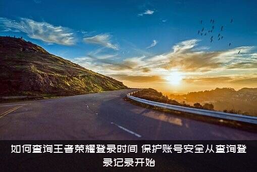 如何查询王者荣耀登录时间？保护账号安全从查询登录记录开始