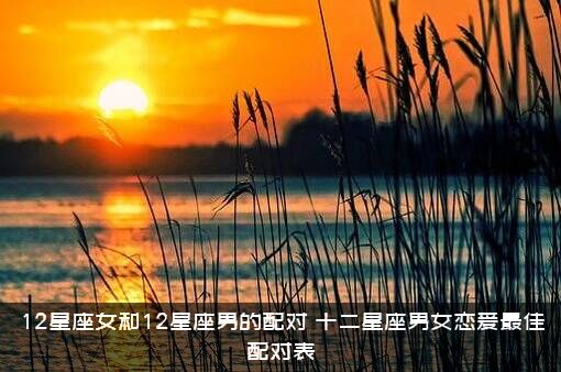 12星座女和12星座男的配对（十二星座男女恋爱最佳配对表）