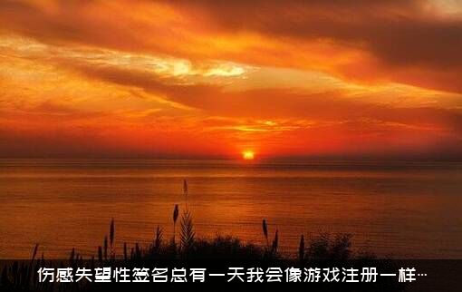伤感失望性签名总有一天我会像游戏注册一样…