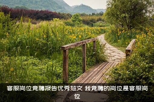 客服岗位竞聘报告优秀范文，我竞聘的岗位是客服岗位