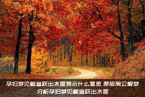 孕妇梦见鲸鱼跃出水面预示什么意思？原版周公解梦分析孕妇梦见鲸鱼跃出水面